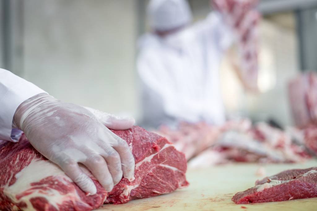 Exportação de carnes do Brasil deve dar salto com China em 2019