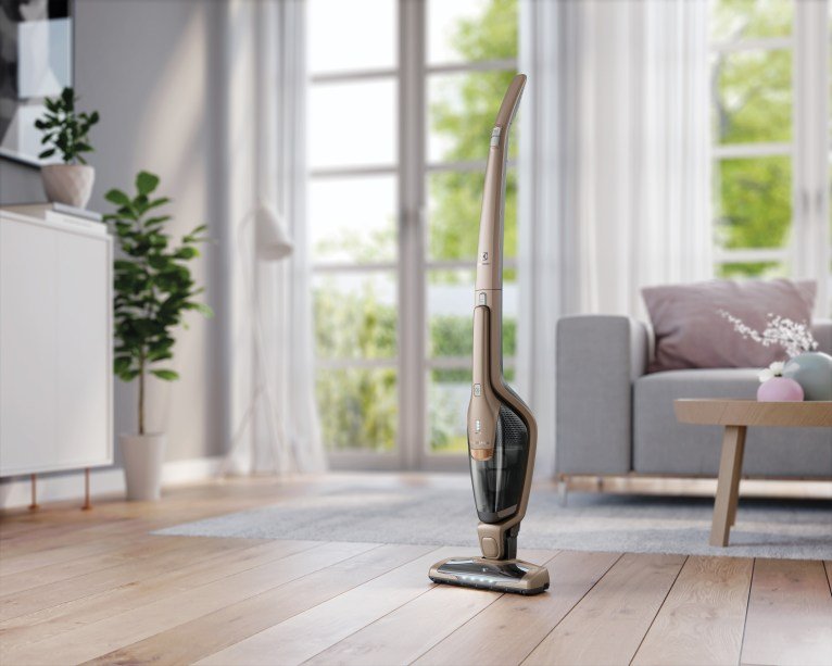 Aspirador de Pó 2 em 1 Ergorapido Dourado (ERG26)