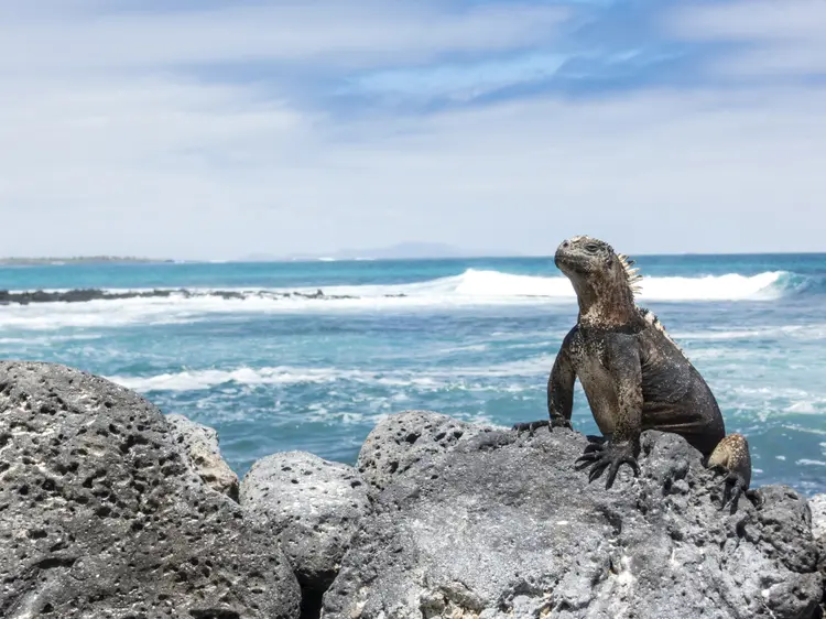 Ilhas Galápagos: Interessados na ilha selvagem querem saborear um espumante em uma jacuzzi ao ar livre (Cavan Images/Getty Images)