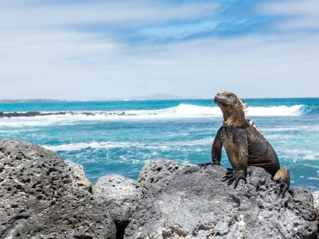 Arquipélago de Galápagos agora é palco de viagens de luxo