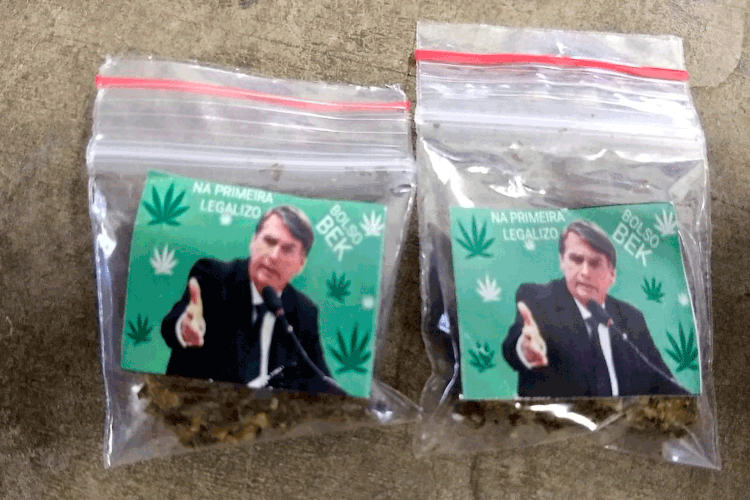 maconha-bolsonaro (Guarda Civil Mogi Mirim/Divulgação)