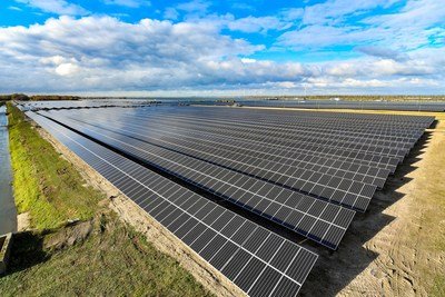 Imagem referente à notícia: Parques solares em desertos são positivos para o clima e a biodiversidade, aponta estudo