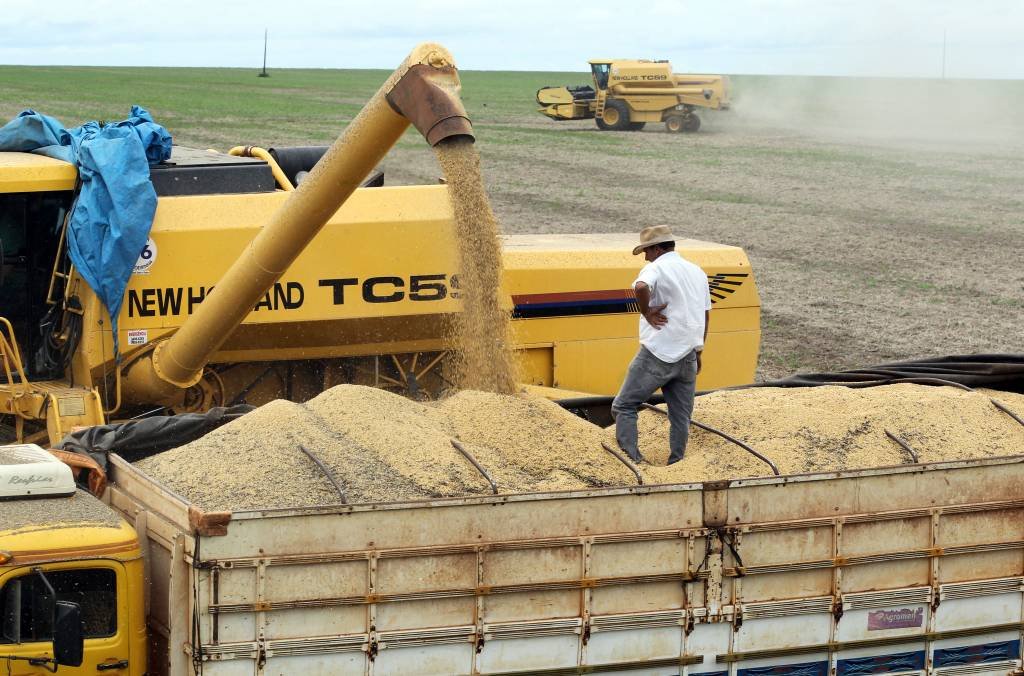 Brasil pode superar EUA na produção de soja em 2019/20