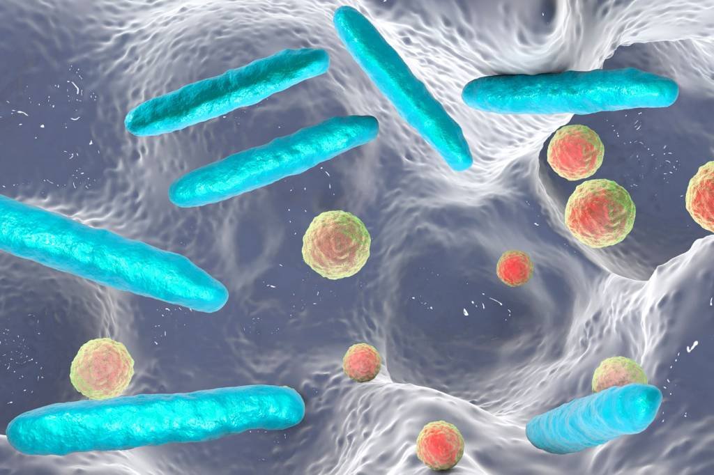 Bactérias do intestino podem ajudar a prever câncer