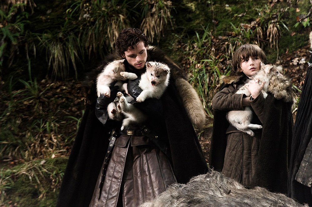 Game of Thrones: na primeira temporada, os Stark encontraram os lobos gigantes (HBO/Reprodução)