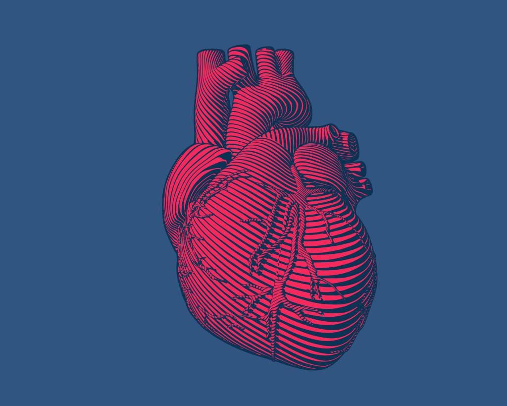 Cientistas apresentam coração impresso em 3D a partir de tecidos humanos