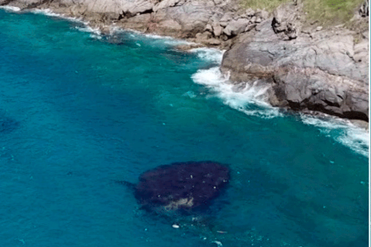 Arraial do Cabo: praia carioca foi poluída por óleo da Petrobras (Inter TVRJ/Reprodução)