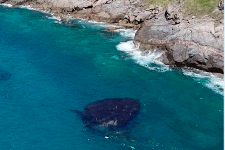 Óleo que atingiu praias de Búzios e Arraial do Cabo vazou da Petrobras