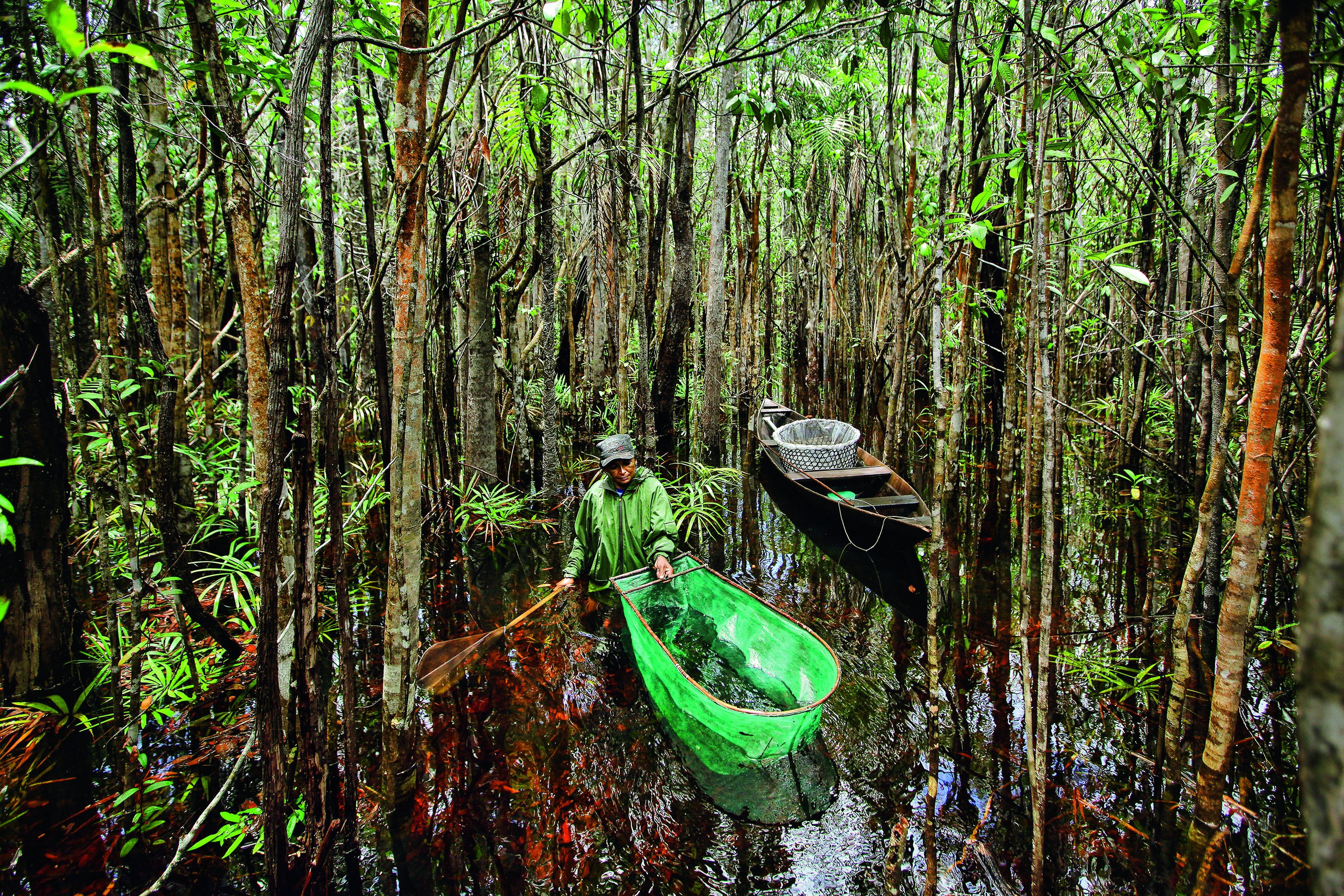 Os olhos que vigiam a Amazônia