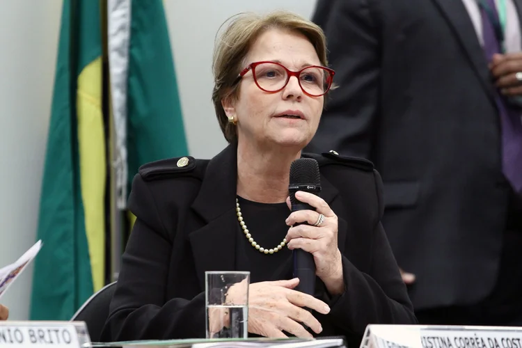 Tereza Cristina: a chefe da pasta da Agricultura participou de audiência pública conjunta na casa (Vinicius Loures/Agência Câmara)