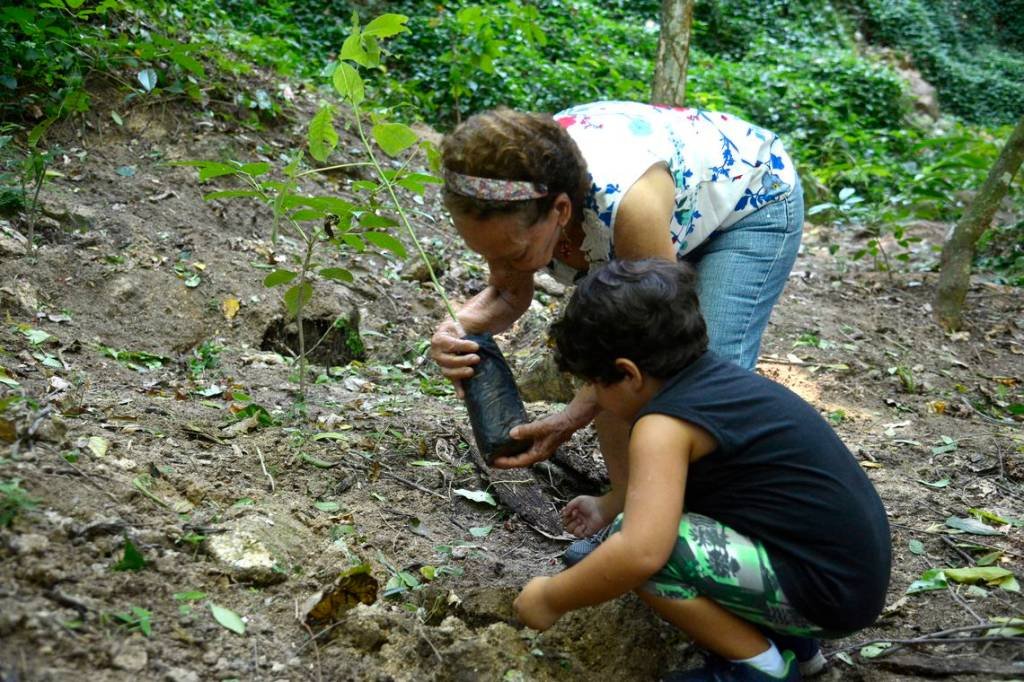 Mutirão planta 260 mudas de árvores na Floresta da Tijuca