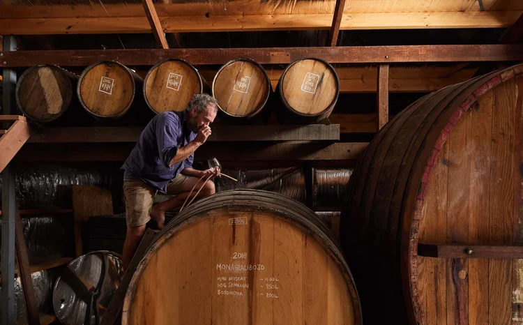 Abel Gibson, da Ruggabellus Wines, localizada no Eden Valley, sul da Austrália: (Randy Larcombe/The New York Times)