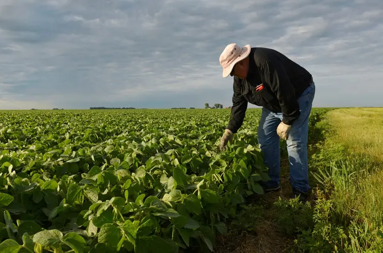 EUA: a agricultura americana está sendo prejudicada pelas disputas comerciais (Dan Koeck/Reuters)