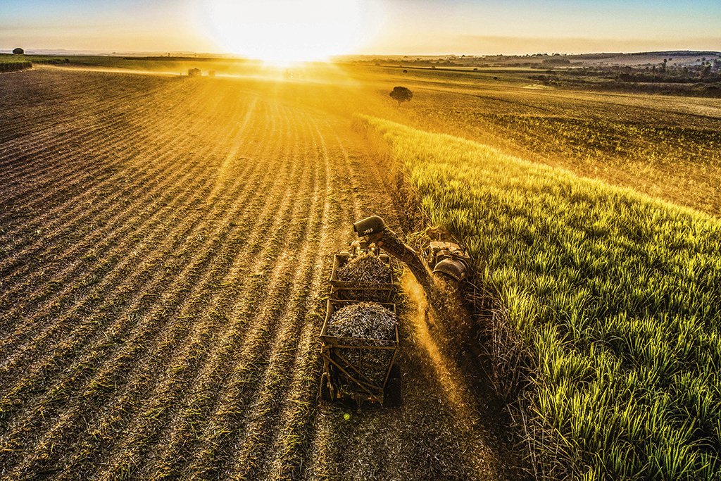 Agricultura: há uma revolução acontecendo (Alex Tauber/Pulsar Imagens/Exame)