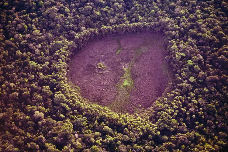 Desmatamento na Amazônia: há muitas razões para o avanço, como a anistia a fazendeiros que desmataram ilegalmente a floresta (Brazil Photos / Contributor/Getty Images)