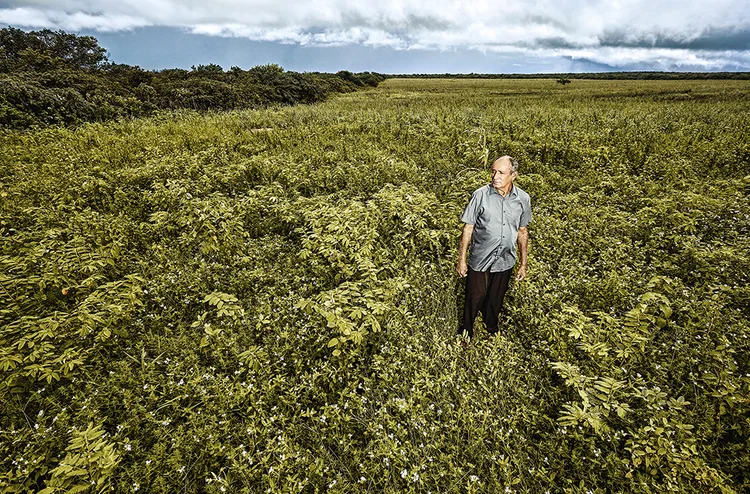 Francisco de Souza, agricultor: renda de 300 000 reais por ano com terras arrendadas para captar energia solar (Humberto Lopes/Exame)