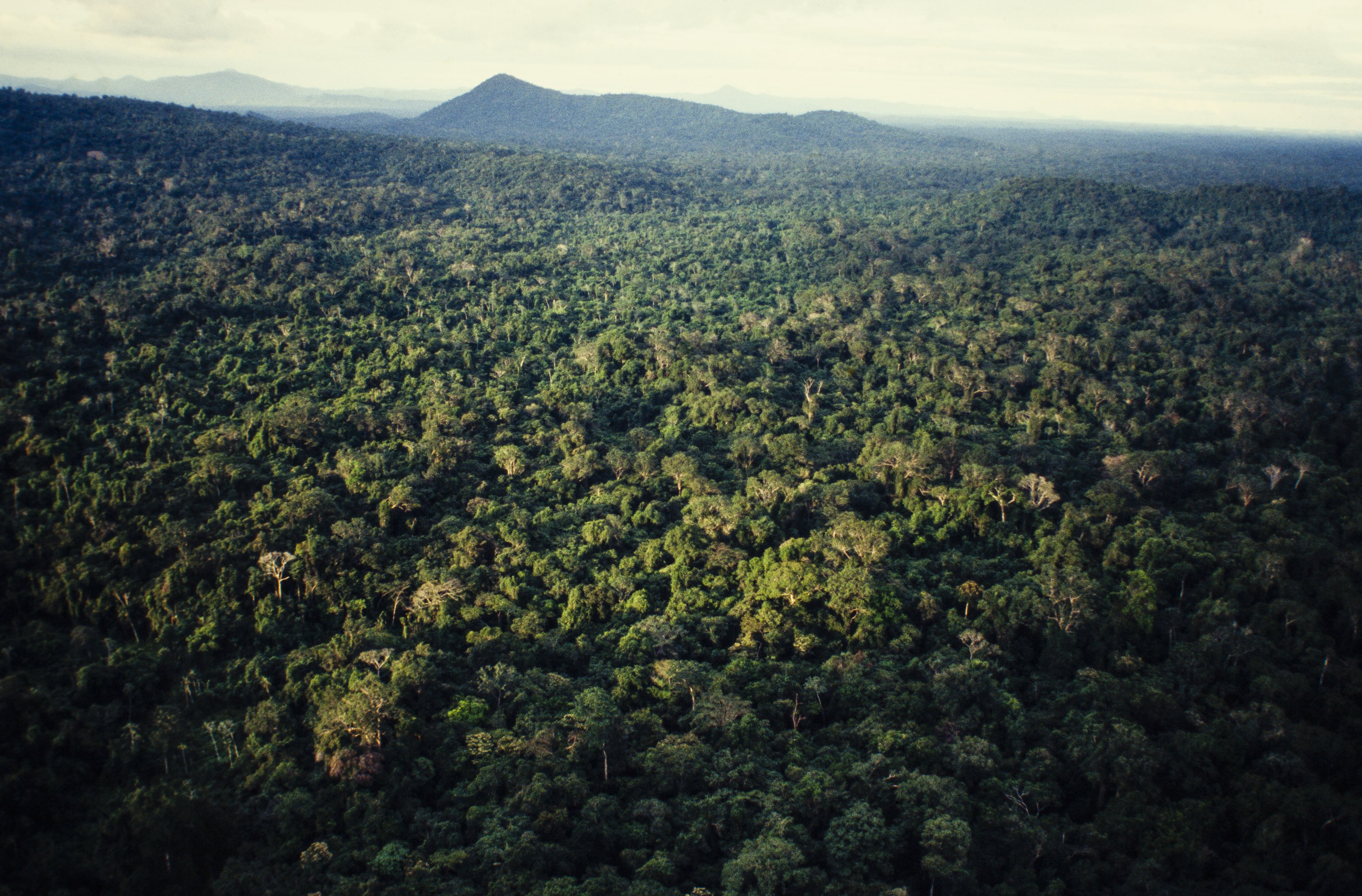 Governo quer usar Fundo Amazônia para indenizar desapropriações