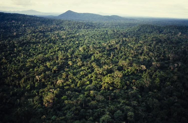 Fundo Amazônia: iniciativa foi criada em 2008 para apoiar iniciativas de combate ao desmatamento na região amazônica (Marco Antonio Rezende/Brazil Photos/LightRocket/Getty Images)