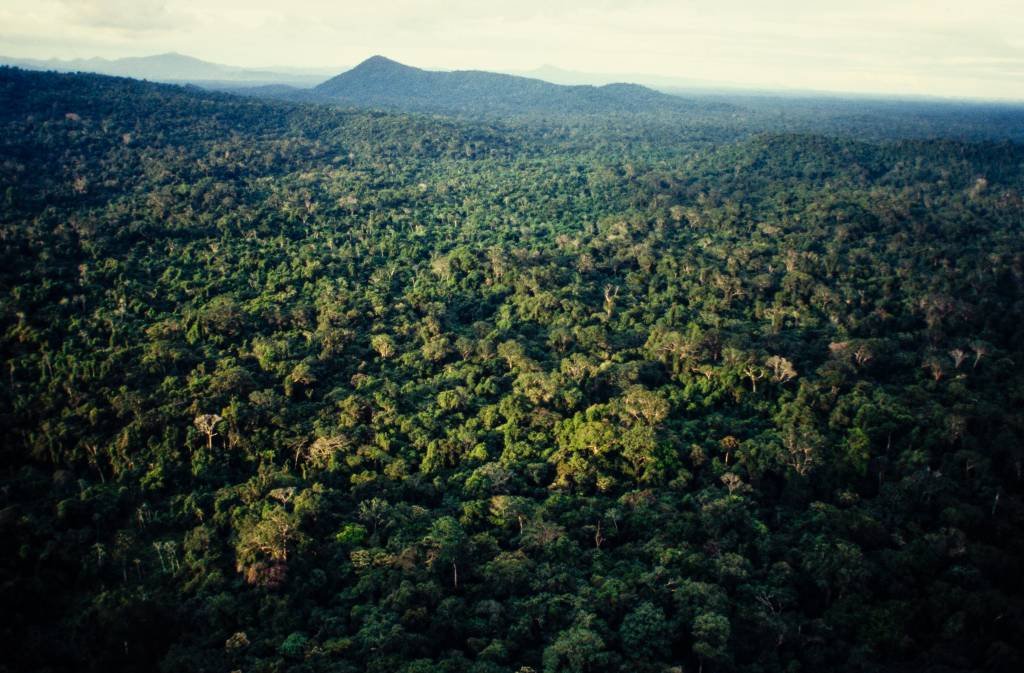 Governo quer usar Fundo Amazônia para indenizar desapropriações