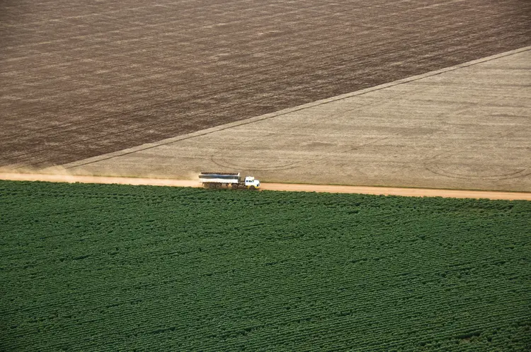 Agronegócio: a fabricante de fertilizantes Yara divulgou o balanço do 4º trimestre de 2019 nesta sexta-feira (Paulo Fridman/Corbis/Getty Images)