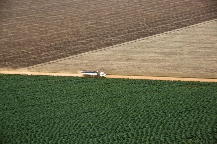 Plantações: em meio à pandemia, o Ipea registra que o crédito rural teve crescimento de 26,8% no volume total no bimestre março-abril (Paulo Fridman/Corbis/Getty Images)