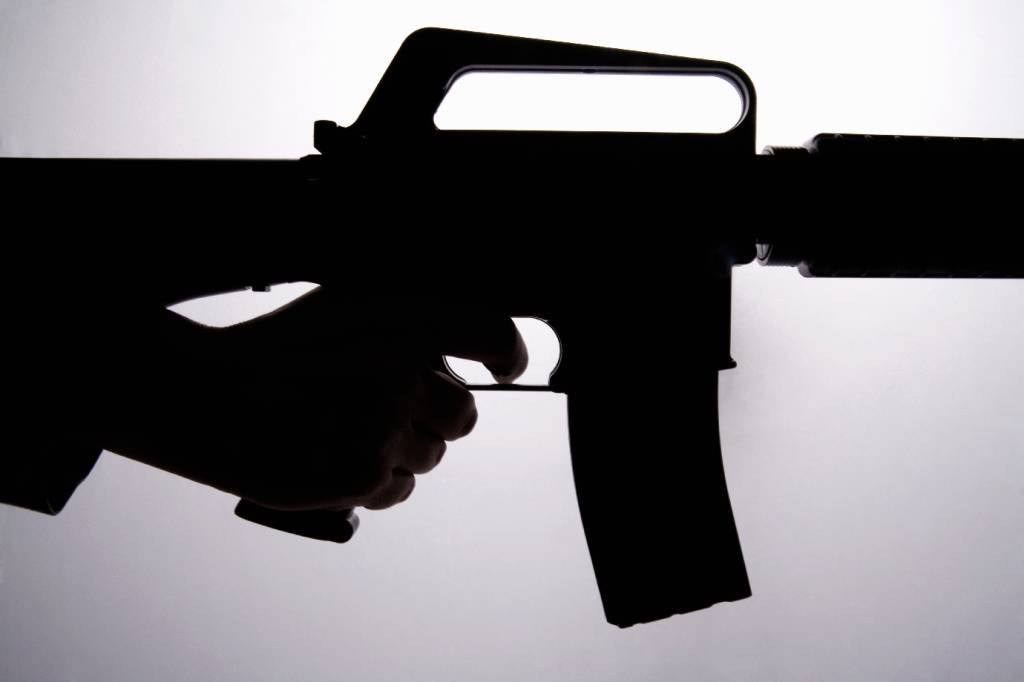 CCJ do Senado aprova uso de armas em toda a extensão de um imóvel rural