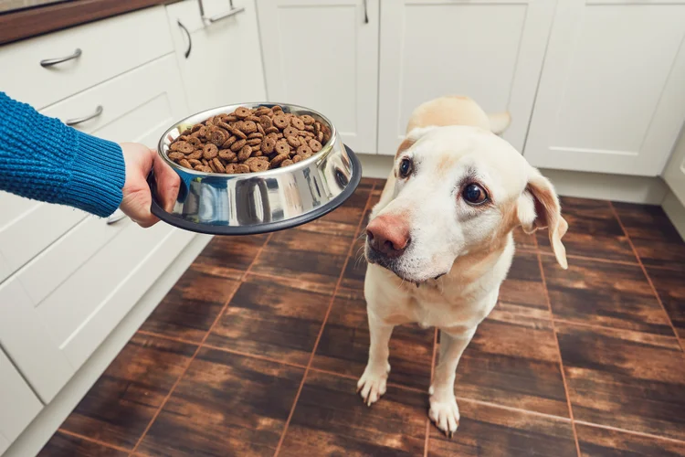 Em 80% das rações caninas analisadas, as embalagens têm fotos ou menções a salmão, cordeiro ou carnes macias, que são apelos para venda, mas não estão no produto (Jaromir Chalabala/ EyeEm/Getty Images)