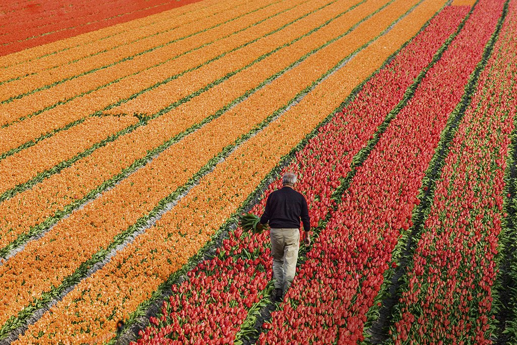 Bolsas de estudo no Canadá, Holanda, EUA; veja os programas abertos