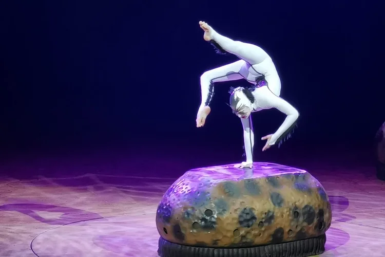 Cirque du Soleil: a proteção judicial dura dez dias, e o circo precisará iniciar processo de venda ou encontrar novos investidores (Lucas Agrela/Site Exame)