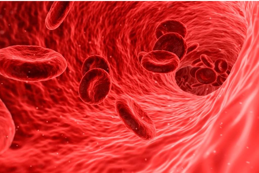 Sangue: resposta para vida longa pode estar em níveis de ferro (Reprodução/Pixabay)