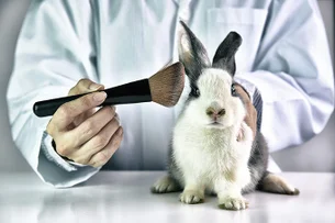 O que diz o projeto que proíbe uso de animais em testes de cosméticos?
