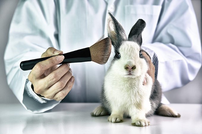 Imagem ilustrativa de testes de cosmético em animais.  (iStock / Getty Images Plus/Getty Images)