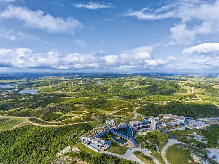 Vista dos vinhedos e instalações da Bodega Garzón (Bodegas Garzón/Divulgação)