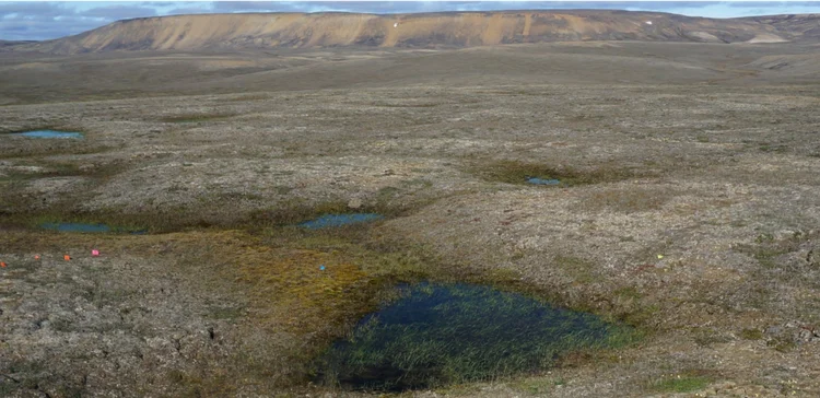 Canadá: degelo do permafrost estava previsto para acontecer somente em 70 anos (Louise Farquharson/Handout/Reuters)