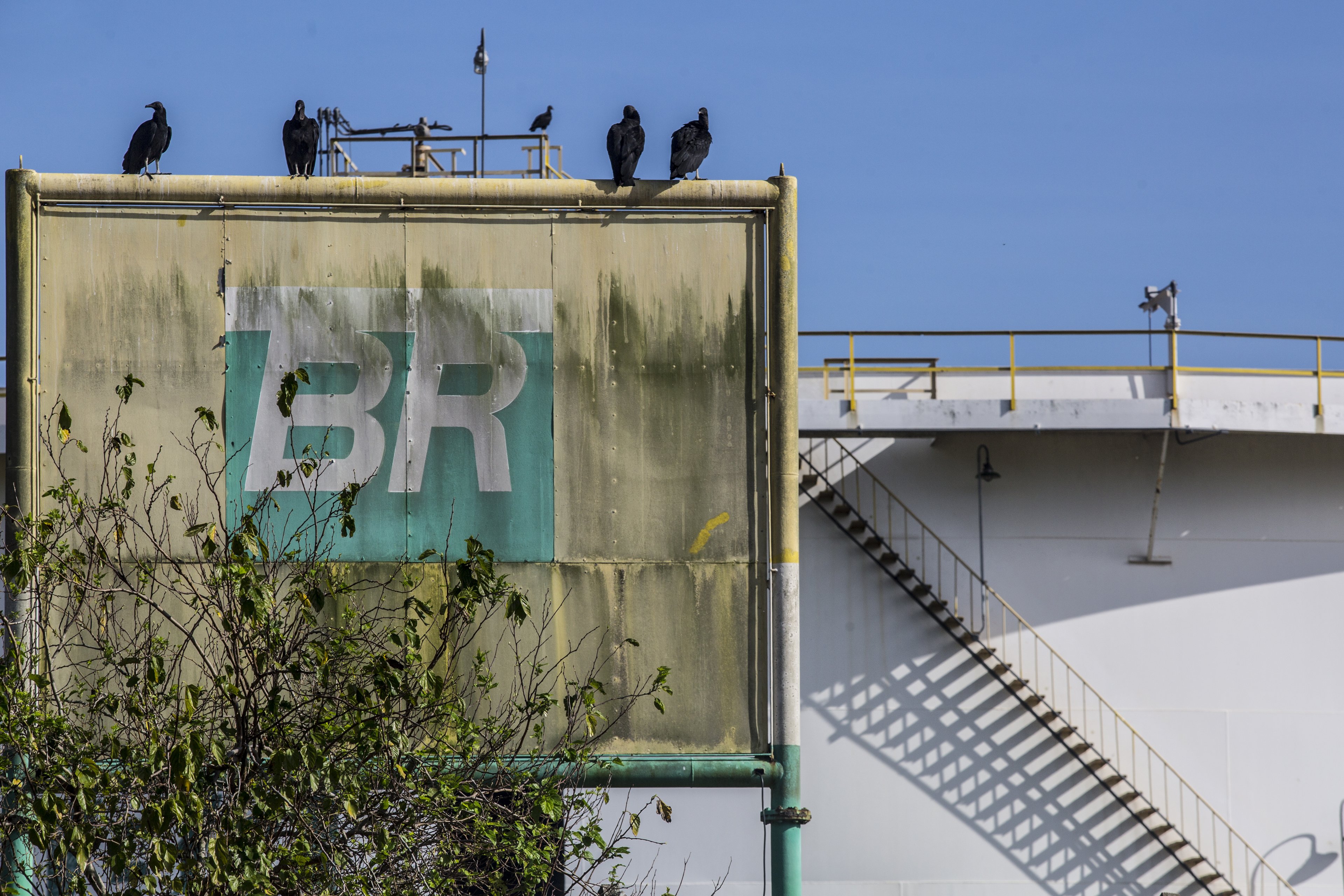 Petrobras acaba com periodicidade de reajustes de combustíveis