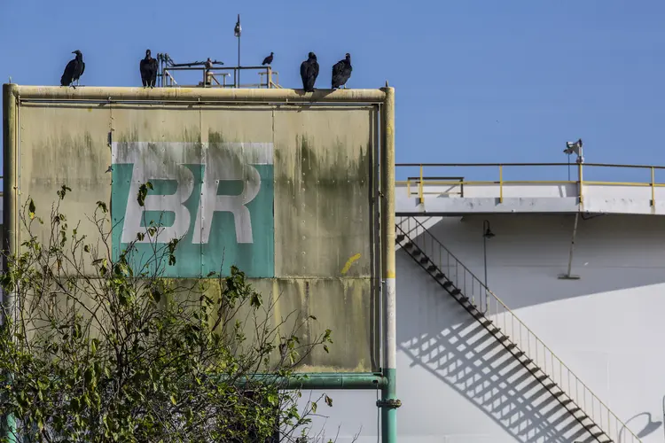 Petrobras: empresa informa que sua diretoria executiva aprovou a revisão na periodicidade de reajustes nos preços de óleo diesel e gasolina (Dado Galdieri/Bloomberg)