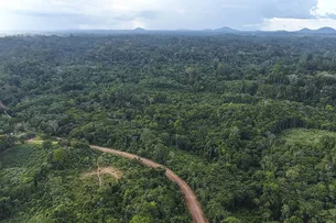 MMA e BNDES lançam os primeiros editais para restauração da Amazônia