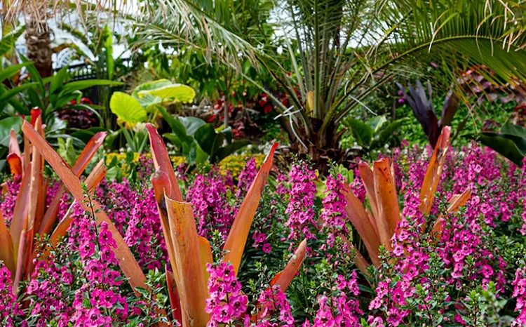 Jardim da exposição: JBNY pediu a um ex-aluno e protegido de Burle Marx que desenhasse um jardim inspirado em seu mestre (NYBG/Divulgação)