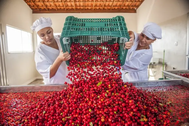 Coopersertão é um dos empreendimentos impactados pelo investimento (Sitawi/Divulgação)