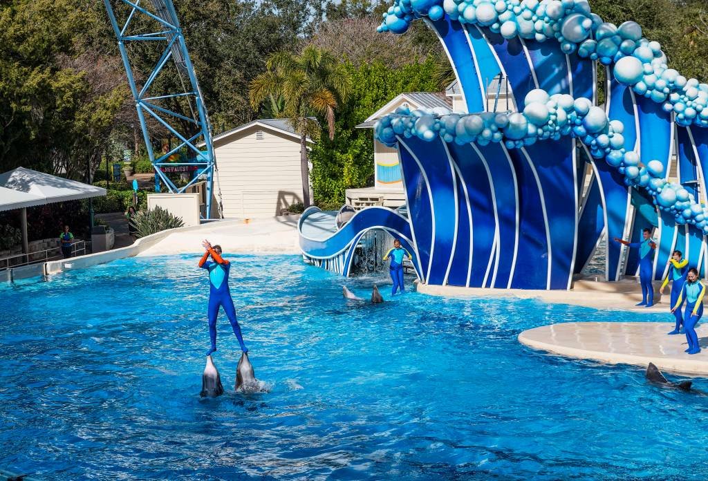 Defensores de animais pedem que SeaWorld cancele show de golfinhos