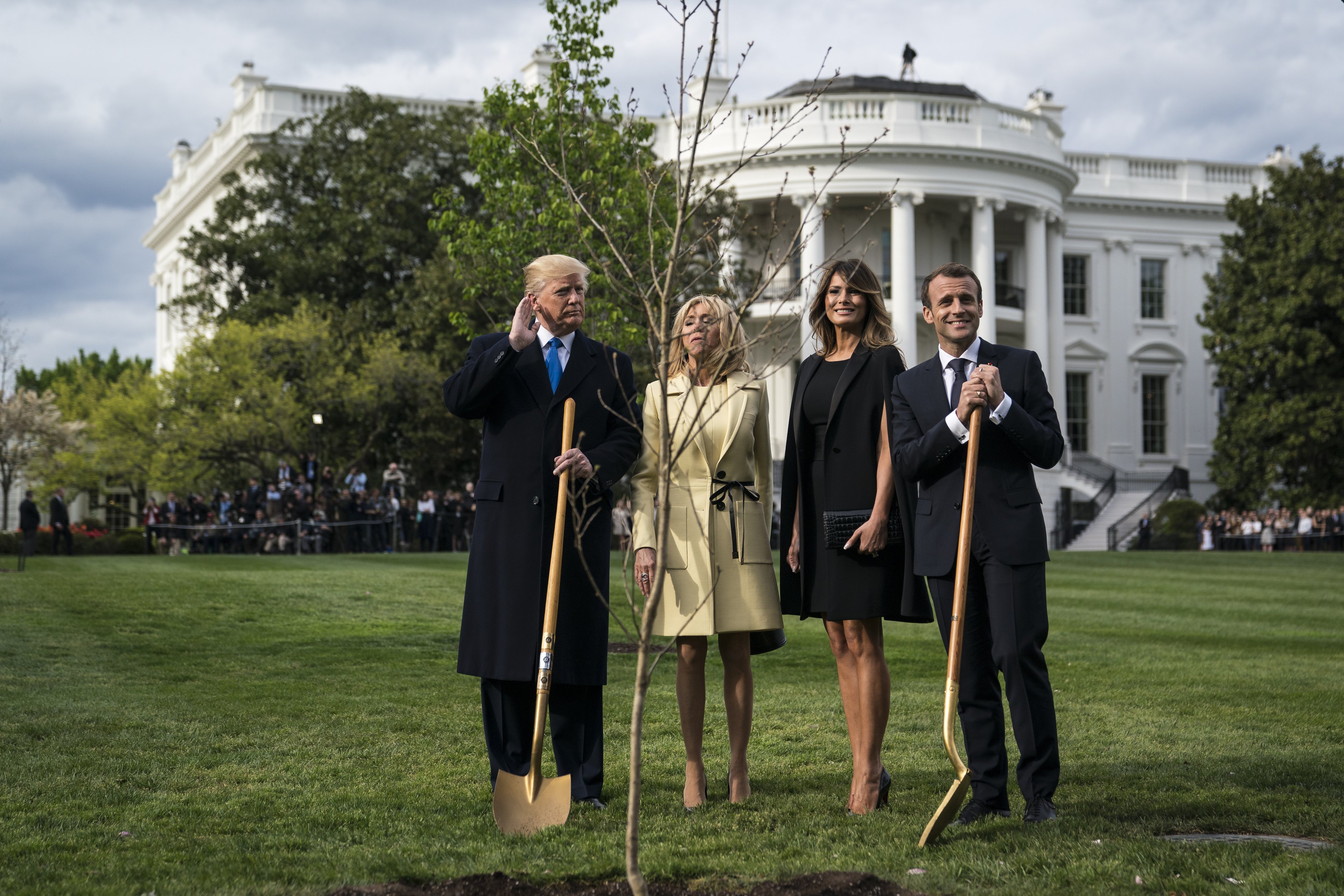 Após morte de "árvore da amizade", Macron promete enviar nova muda a Trump
