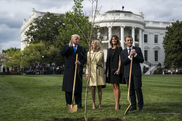 Trump e Macron: árvore plantada pelos dois presidentes morreu neste final de semana (Jabin Botsford/The Washington/Getty Images)