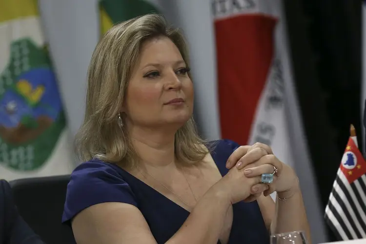 Joice Hasselmann: líder do governo no Congresso não detalhou possível segundo plano do governo (José Cruz/Agência Brasil)