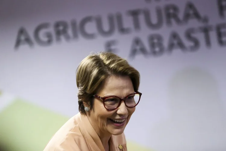 Ministério da Agricultura: pasta está sendo criticada por ser a responsável por definir a demarcação das terras indígenas (Marcelo Camargo/Agência Brasil)