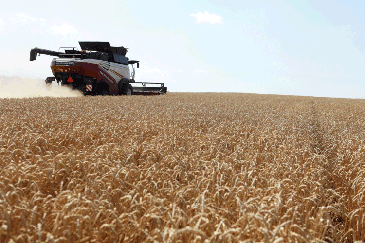Agricultura: setor terá tarifas reduzidas após acordo UE-Mercosul (Eduard Korniyenko/Reuters)