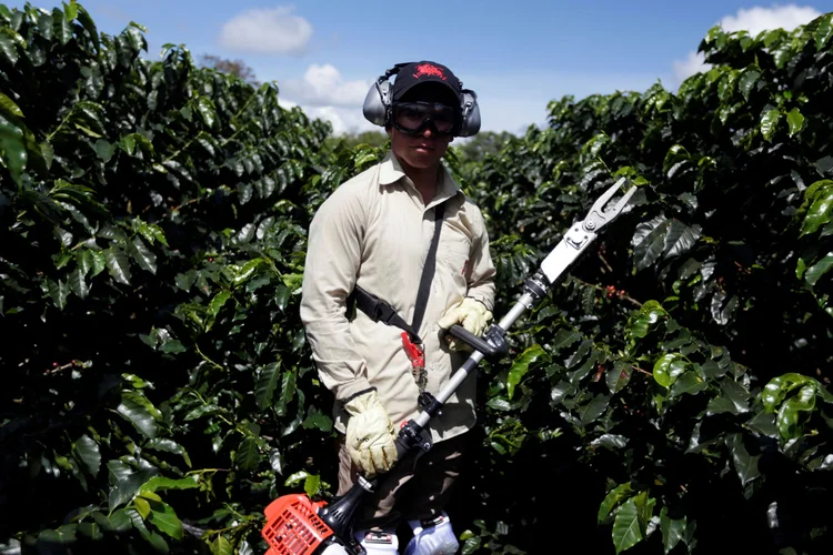 Café: Colômbia, terceiro maior produtor do mundo, sofre impacto da queda do preço do grão no mercado (Luisa Gonzalez/Reuters)