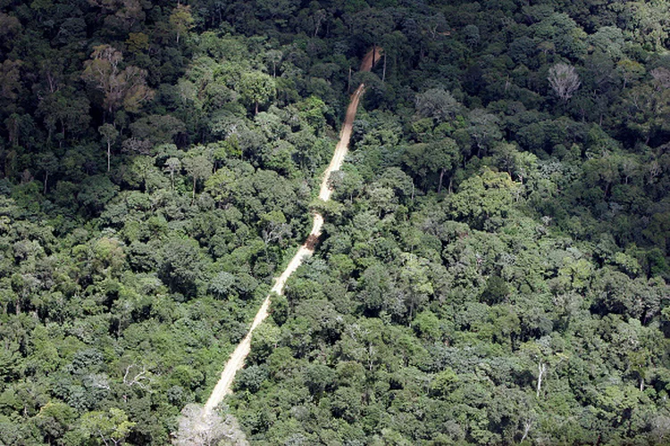 Licença Ambiental: Projeto de lei do deputado Kim Kataguiri elimina necessidade de licenciamento ambiental para construção de estradas (Ricardo Beliel/Brazil Photos/LightRocket/Getty Images)