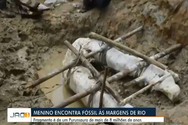 Acre: menino descobre fóssil pré-histórico (Jornal do Acre/Reprodução)