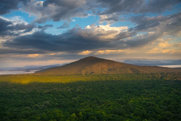 Floresta na Etiópia: florestas ocupam menos de 4% do território do país (Eric Lafforgue/Art in All of Us/Getty Images)