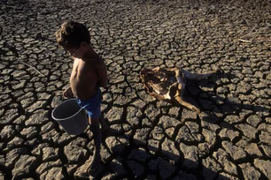 Imagem referente à matéria: Nobel contra a fome: mais de 150 ganhadores pedem ações urgentes para combater a crise global